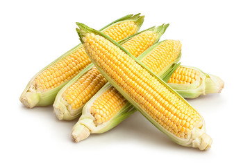 corn