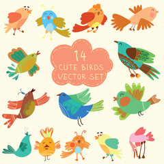 Cute birds in vector. Cartoon set