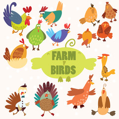 Cute Farm birds.Turkey, chicken, goose, duck