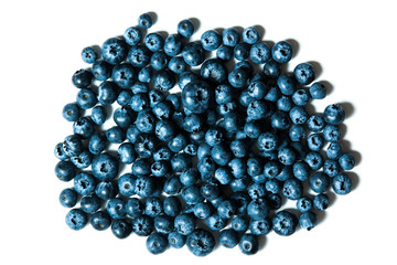 Fresh great bilberries or blueberries isolated on white background