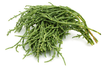 Samphire, salicornia