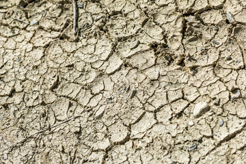 Grey dry cracked earth