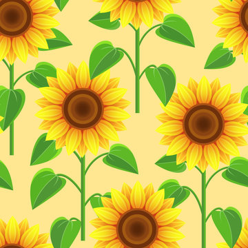 Seamless pattern with flowers sunflowers
