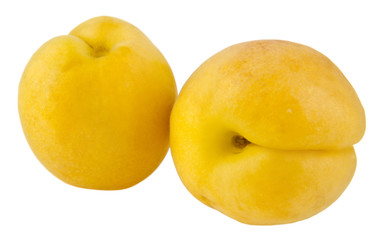 apricots