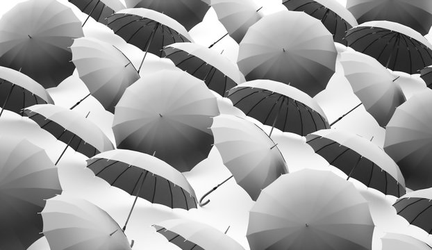 Silver umbrellas concept
