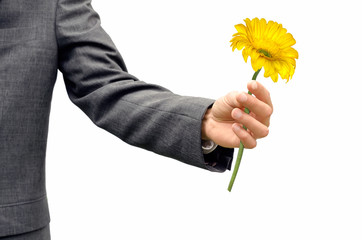  man holds the flower isolated