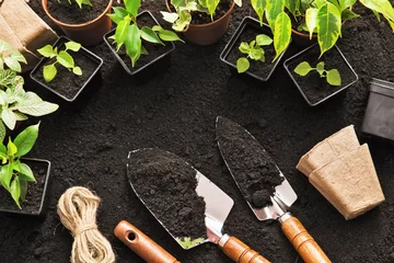 Keuken foto achterwand Tuin Tuingereedschap en planten