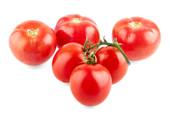 tomatoes