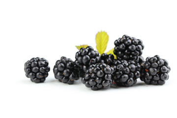 Blackberries isolated on a white