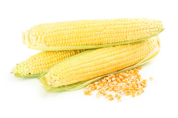 Corns isolated on a white