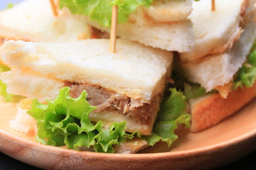 Fototapeta na wymiar tuna sanwich on black background