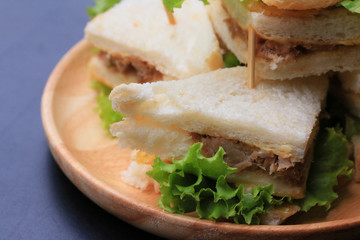 tuna sanwich on black background