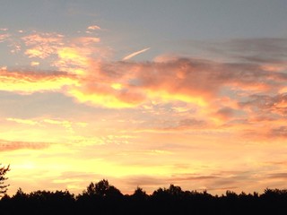 Traumhafter Sonnenuntergang über der Haard