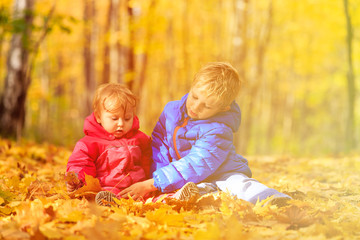 boy and girl playing in autumn leaves