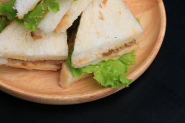 tuna sanwich on black background