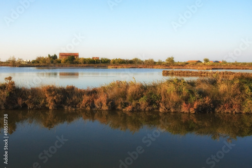 Laguna Veneta In Inverno Stock Photo And Royalty Free Images On