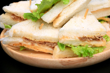 tuna sanwich on black background