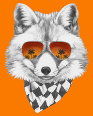 Original drawing of Fox with mirror glasses and scarf. Isolated on colored background