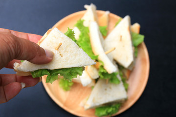 tuna sanwich on black background