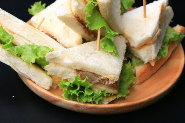 tuna sanwich on black background