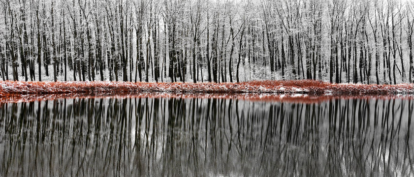 Fototapeta Winter Reflection Scene