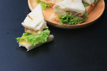 tuna sanwich on black background