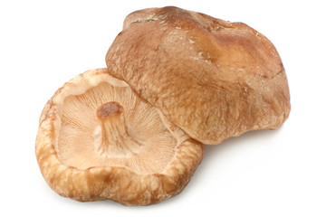 2 Shiitake
