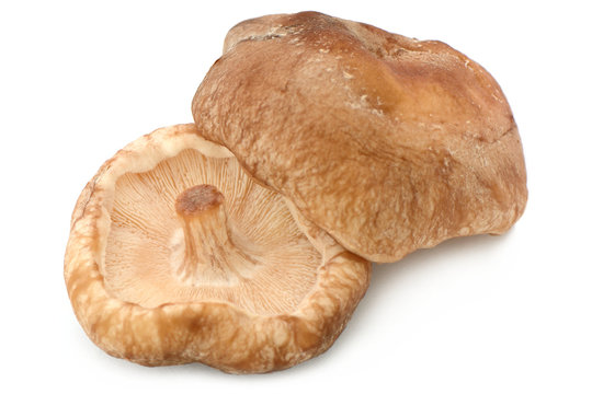 2 Shiitake