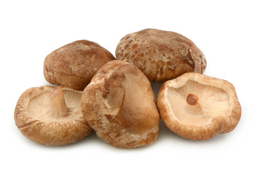 5 Shiitakepilze