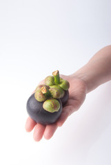 mangosteen in hand on background.