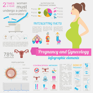 Gynecology and pregnancy infographic template. Motherhood elemen