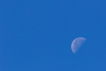 Half Moon in blue sky