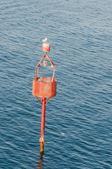 Olbia, Stadt, Hafenstadt, Hafen, Hafeneinfahrt, Fährhafen, Möwe, Wasservogel, Sommer,...