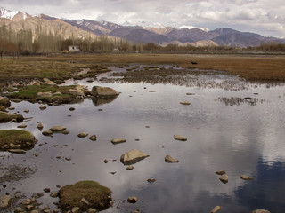 Small lake with mountains background in Ladakh, India