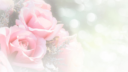 Roses soft blur background in vintage pastel tones.