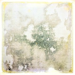 Grunge gray texture background