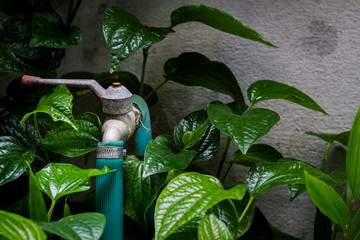 Garden faucet