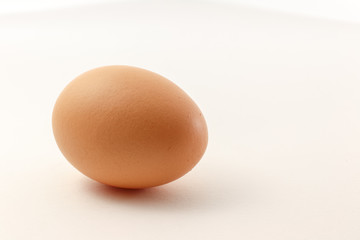 One Egg isolate on white