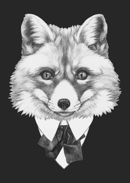 Hand drawn portrait of Fox with glasses. Vector isolated elements.