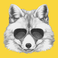Hand drawn portrait of Fox with glasses. Vector isolated elements.