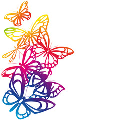 butterflies design