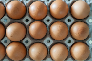 Eggs in panel