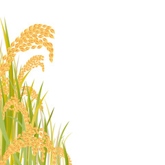 稲穂　秋　収穫　米 