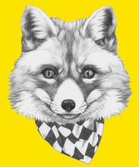 Prtrait of Fox with scarf. Vector isolated elements.