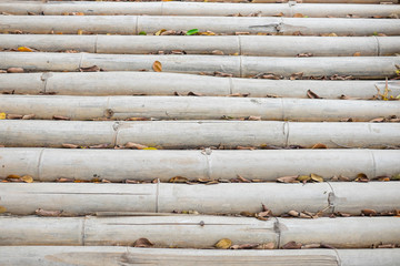 Bamboo path in the park