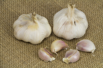 Garlic form Oganic farm on sack background