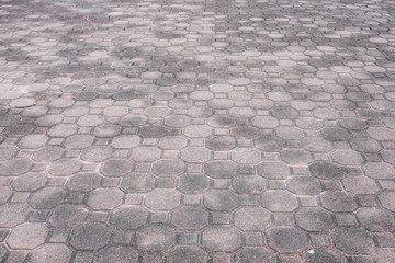 Squar and octagon brick floor