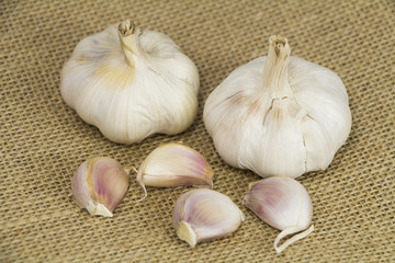 Garlic form Oganic farm on sack background