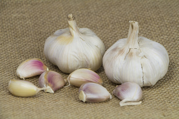 Garlic form Oganic farm on sack background
