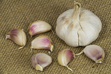 Garlic form Oganic farm on sack background